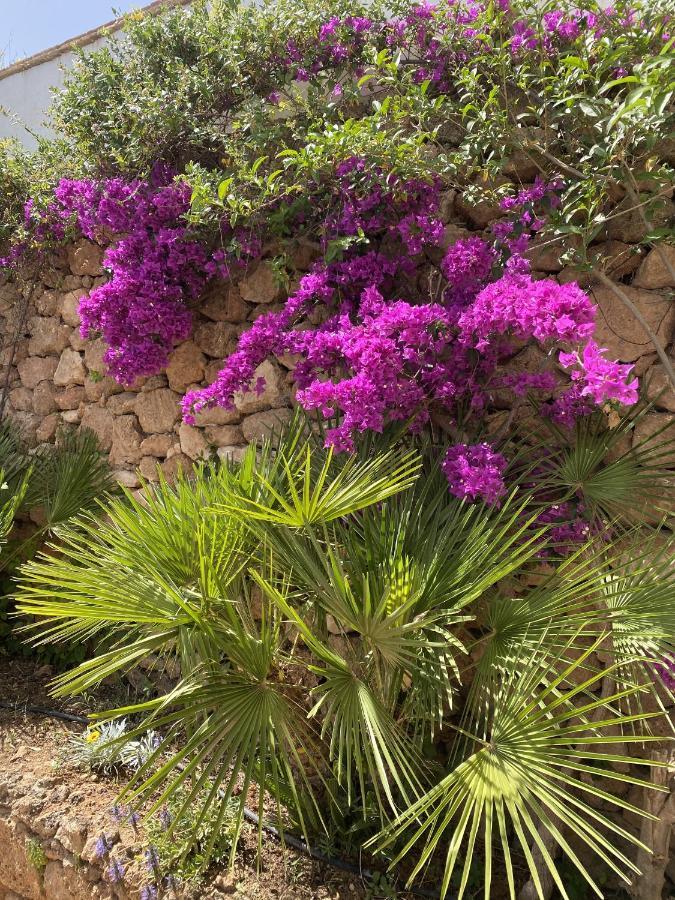 Terraced House In The Mountains With Fantastic View Villa Málaga Exterior foto
